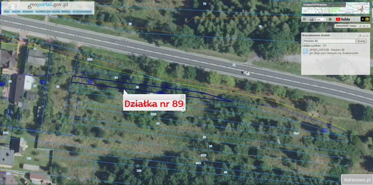 Działka rolna Płaczków. Zdjęcie 10