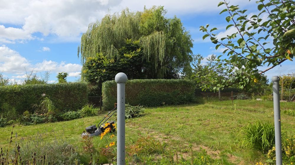 Działka rod Gościno, ul. Ogrodowa. Zdjęcie 3