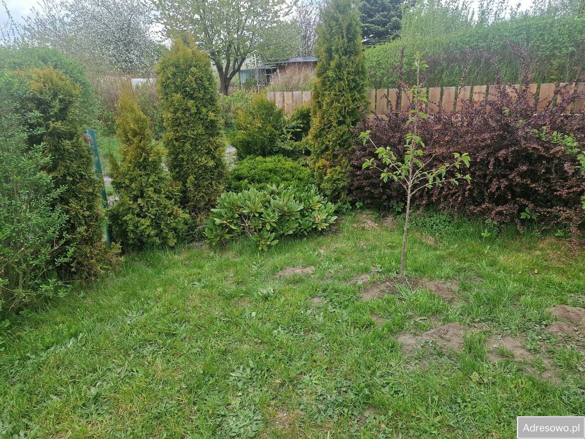 Działka rod Słupsk, ul. Gdańska. Zdjęcie 8