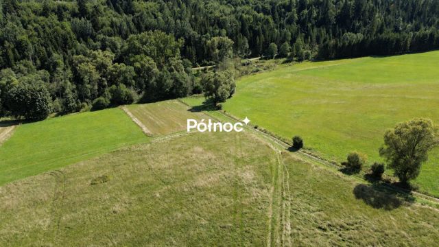 Działka budowlana Falsztyn, ul. Ogrodowa. Zdjęcie 9