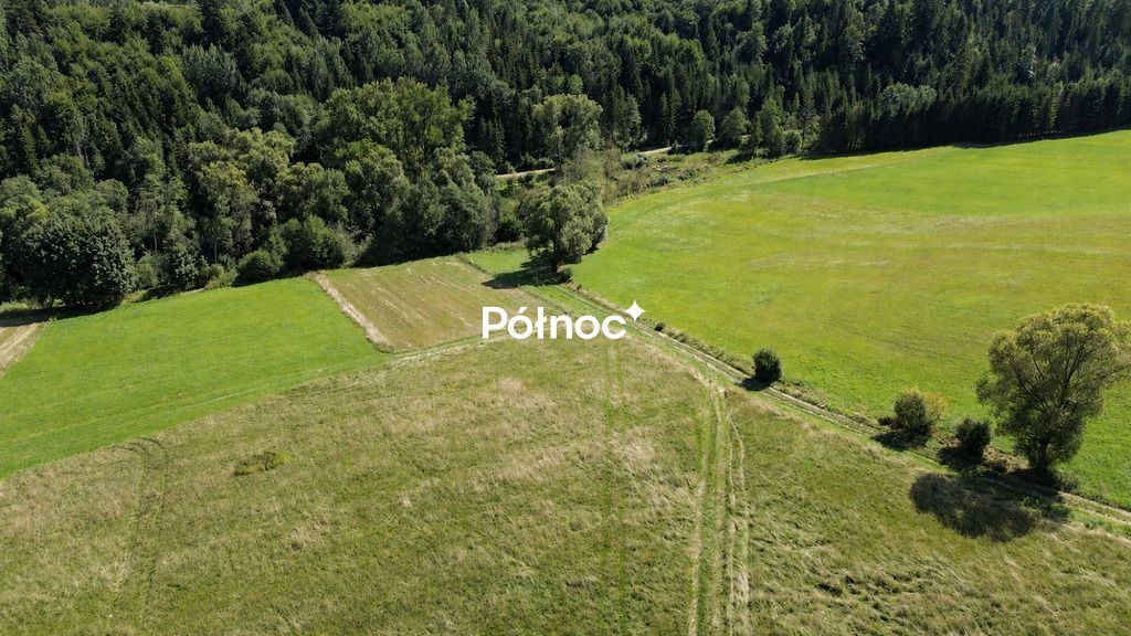 Działka budowlana Falsztyn, ul. Ogrodowa. Zdjęcie 9