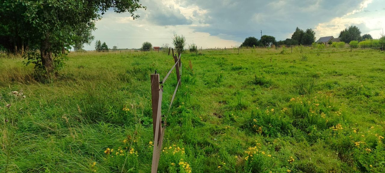 siedlisko, 3 pokoje Milęcice. Zdjęcie 17