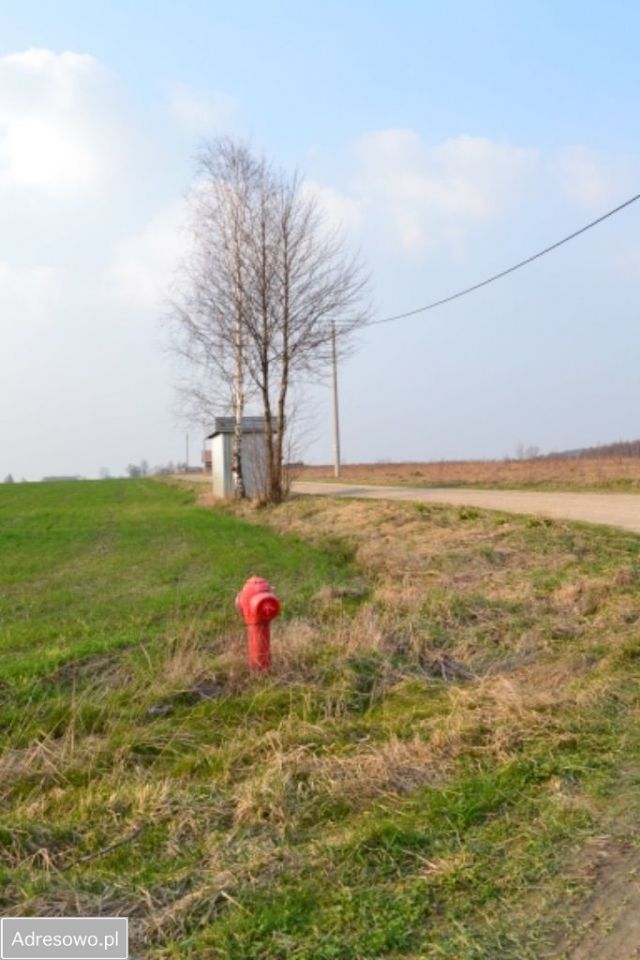 Działka siedliskowa Żeliszew Duży. Zdjęcie 5