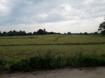 Działka rolno-budowlana Występ. Zdjęcie 3