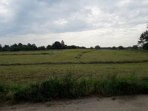 Działka rolno-budowlana Występ. Zdjęcie 4