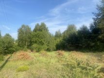 Działka rolno-budowlana Ciekoty. Zdjęcie 3