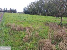 Działka budowlana Radomsko, ul. Spokojna. Zdjęcie 3