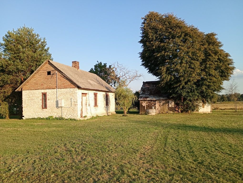 Działka siedliskowa Kozice Dolne-Kolonia. Zdjęcie 6