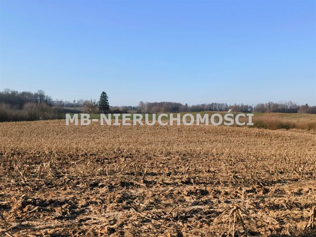 Działka rolna Grabnik. Zdjęcie 7