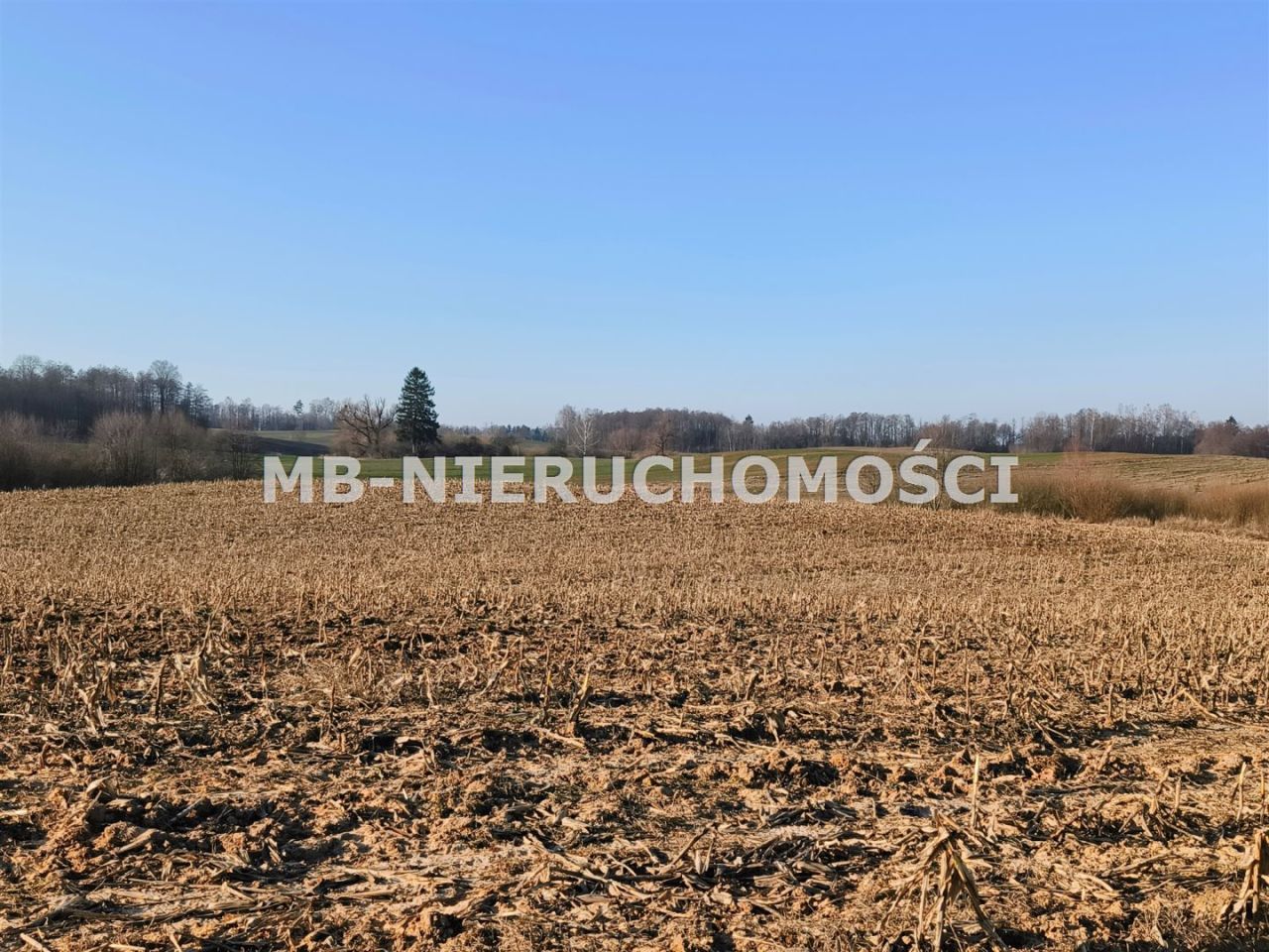 Działka rolna Grabnik. Zdjęcie 7