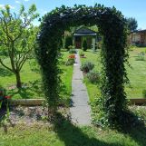 Działka rod Puławy. Zdjęcie 4