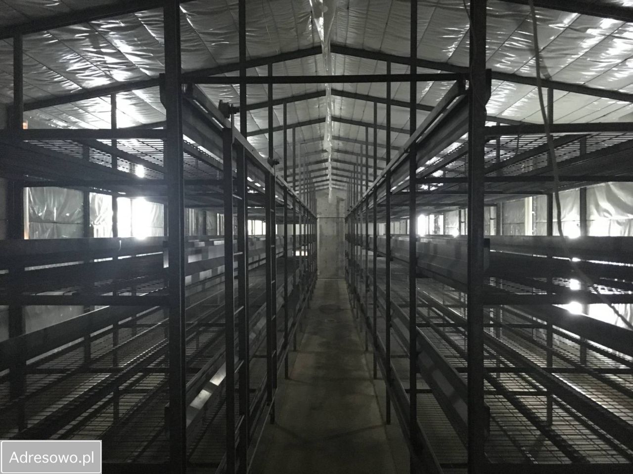 Hala/magazyn Rokitno Szlacheckie. Zdjęcie 5