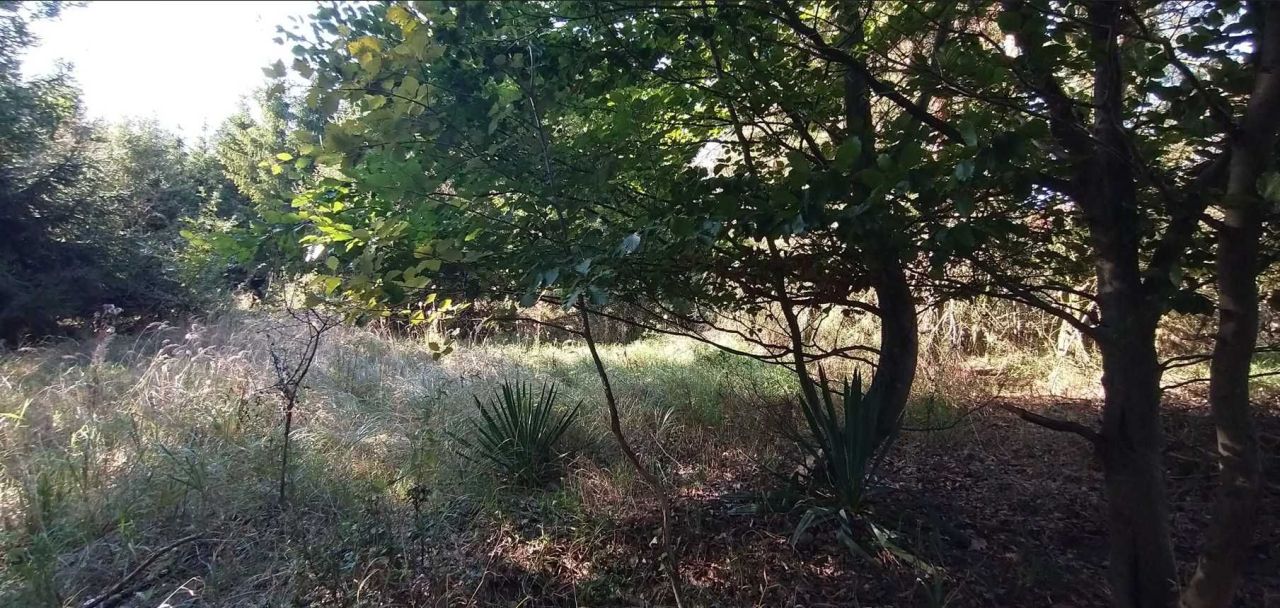 Działka budowlana Świniary. Zdjęcie 6