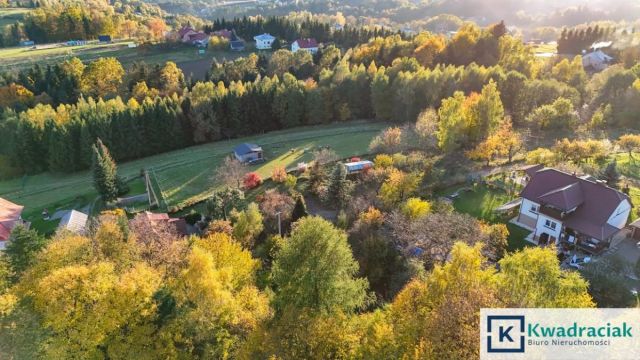 Działka budowlana Korczyna, ul. Leśna. Zdjęcie 12