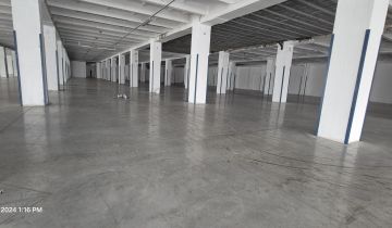 Hala/magazyn Łódź Widzew, ul. Lodowa