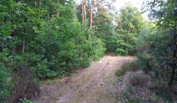 Działka leśna Maciejowice
