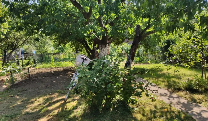 Działka rod Wola Mielecka