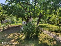 Działka rod Wola Mielecka