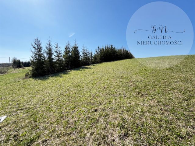 Działka rekreacyjna Wilimy. Zdjęcie 3