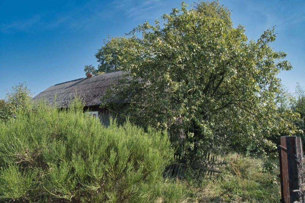 Działka rolna Kobylnica. Zdjęcie 5