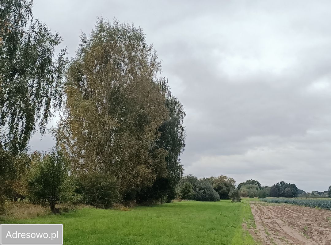 Działka rolna Wilczkowice Dolne. Zdjęcie 6