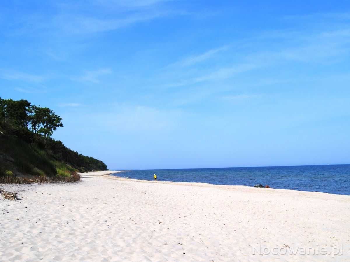 Działka rolna Pleśna. Zdjęcie 5