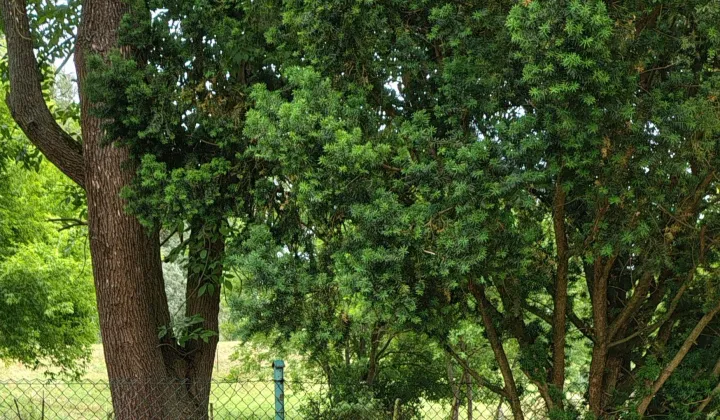 siedlisko, 2 pokoje Skoki