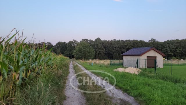 Działka budowlana Jastrzębce. Zdjęcie 8