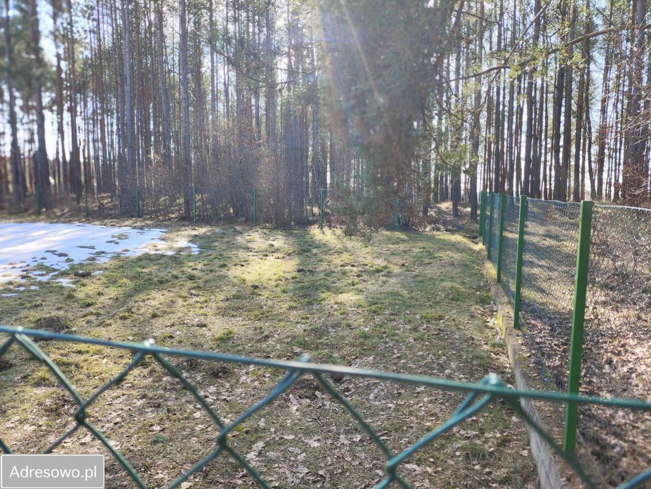 Działka rekreacyjna Kamień, ul. Perkoza. Zdjęcie 3