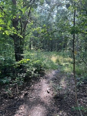 Działka Mysłowice, ul. 11 Listopada. Zdjęcie 6