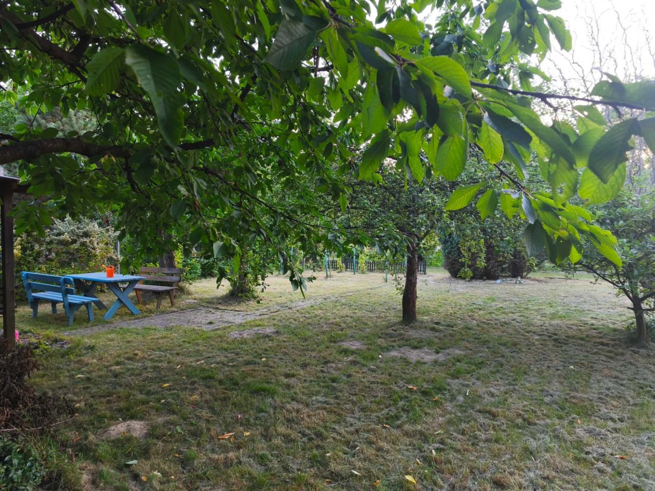 Działka rod Rzeszów. Zdjęcie 6