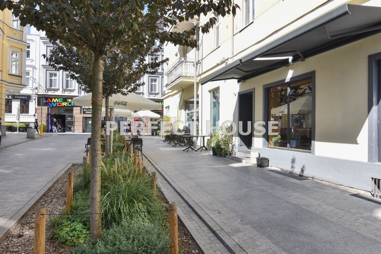 Lokal Poznań Centrum, ul. Półwiejska. Zdjęcie 16