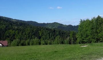 Działka rolno-budowlana Piwniczna-Zdrój Koszarzyska, Kosarzyska