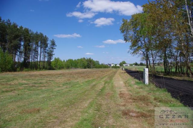 Działka budowlana Cyganka. Zdjęcie 3