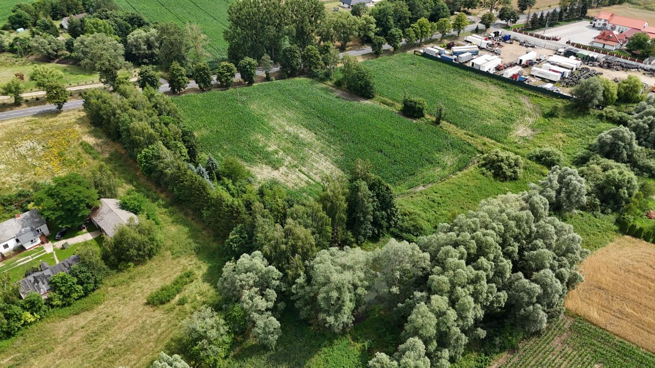 Działka rolna Obórki. Zdjęcie 10