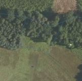 Działka rolna Smyków Smyków Mały, ul. Leśna. Zdjęcie 3