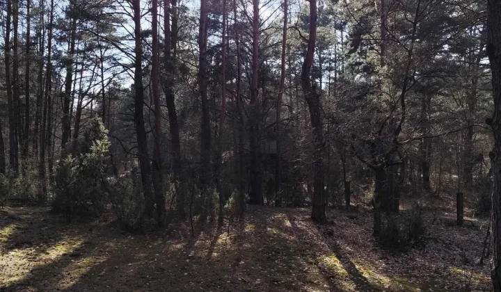 Działka budowlana Chełsty, ul. Klonowa