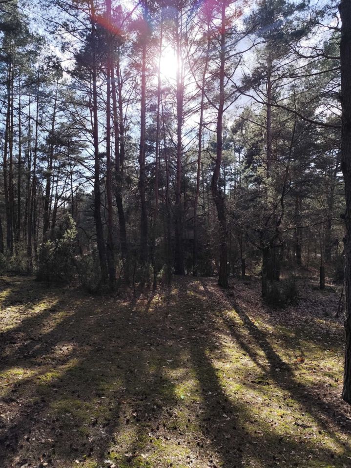 Działka budowlana Chełsty, ul. Klonowa. Zdjęcie 1