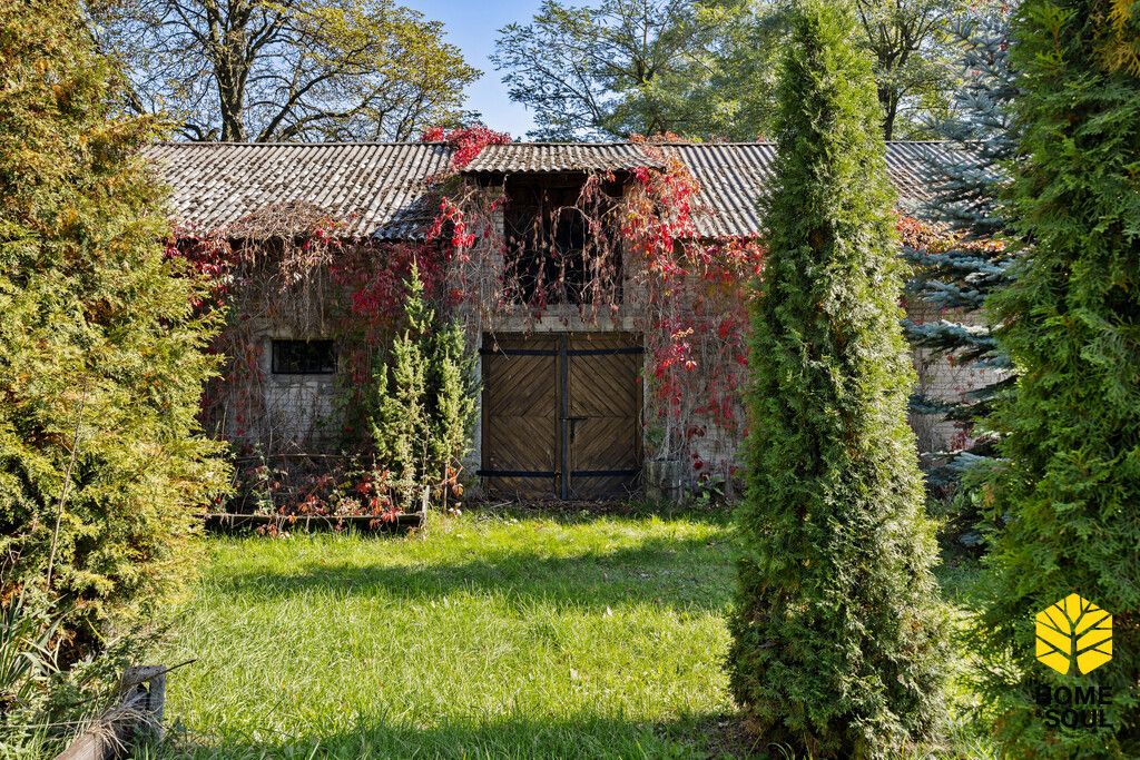 Działka rolna Lipiny. Zdjęcie 15