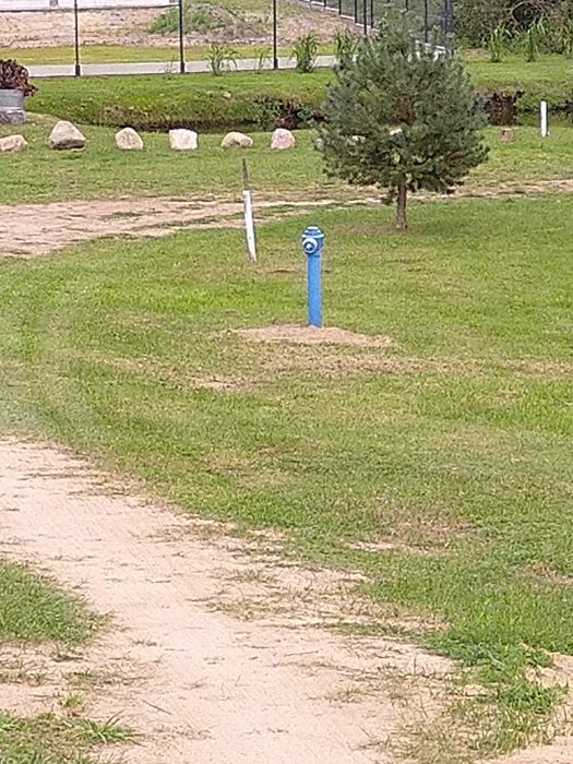 Działka budowlana Miłomłyn, ul. Wrzosowa. Zdjęcie 5