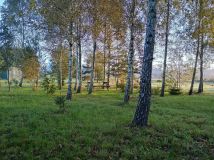 Działka budowlana Drwęck. Zdjęcie 3