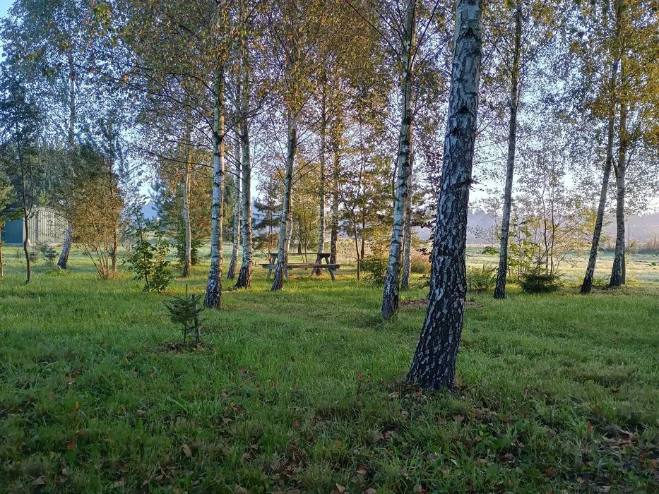 Działka budowlana Drwęck. Zdjęcie 4