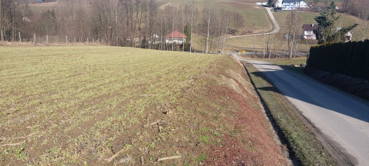 Działka rolno-budowlana Dębowa. Zdjęcie 2