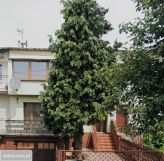 dom szeregowy, 4 pokoje Świecie Centrum, ul. Żeromskiego. Zdjęcie 4