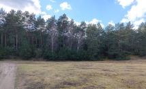 Działka budowlana Sąsieczno Miszek, ul. Adama Mickiewicza. Zdjęcie 2