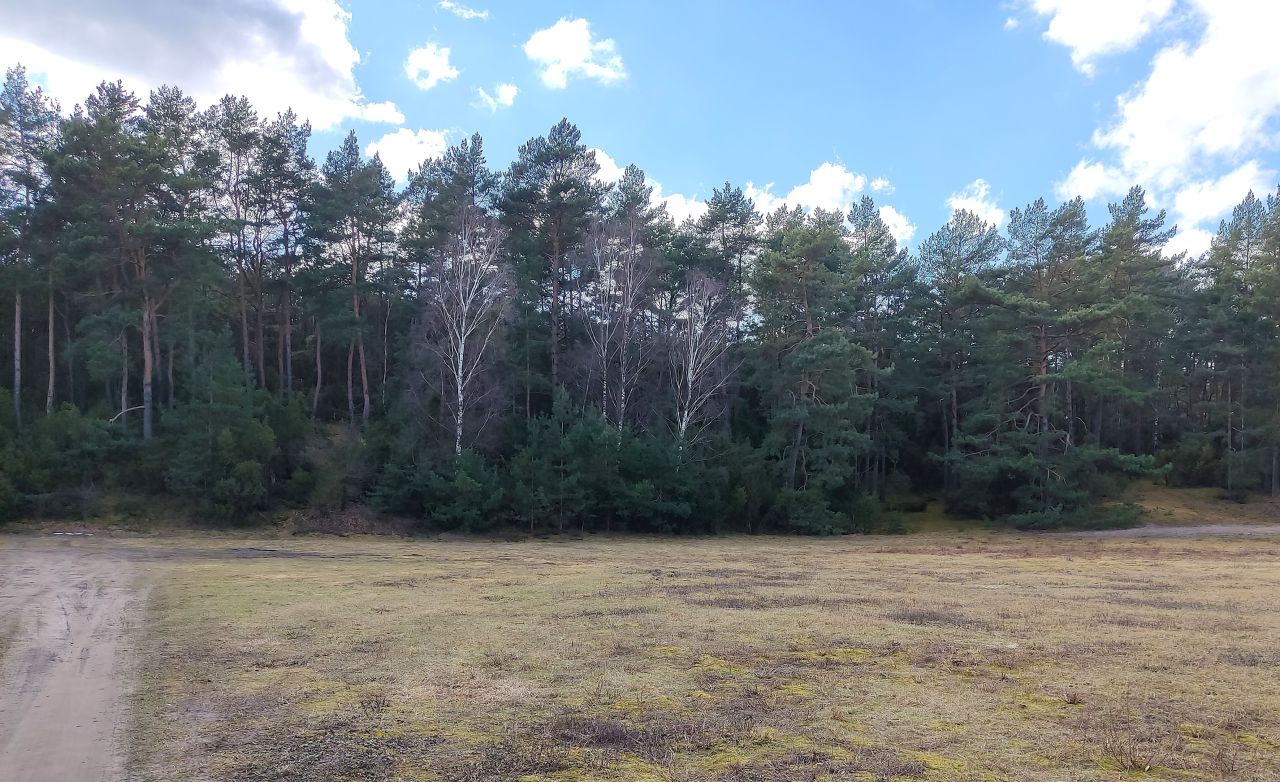 Działka budowlana Sąsieczno Miszek, ul. Adama Mickiewicza. Zdjęcie 3