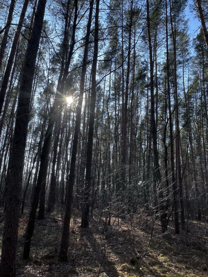 Działka inwestycyjna Maszkowo. Zdjęcie 4