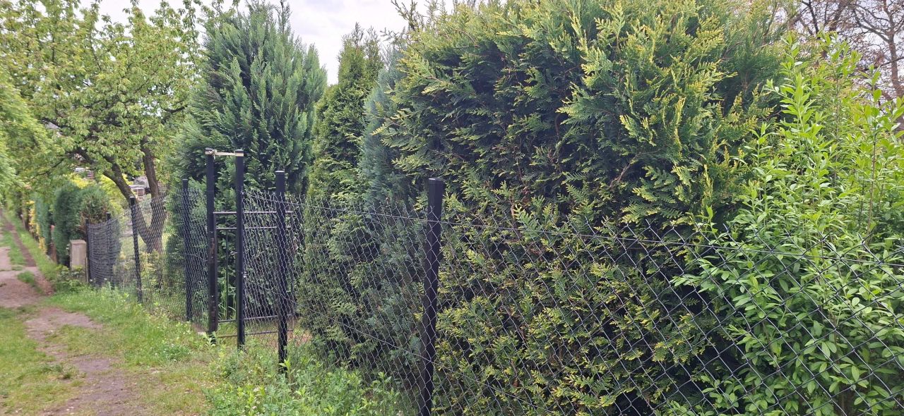 Działka rod Sosnowiec Środula. Zdjęcie 8