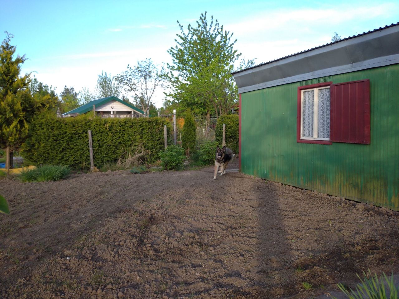 Działka rod Rzeszów Zalesie, al. Wyzwolenia. Zdjęcie 7