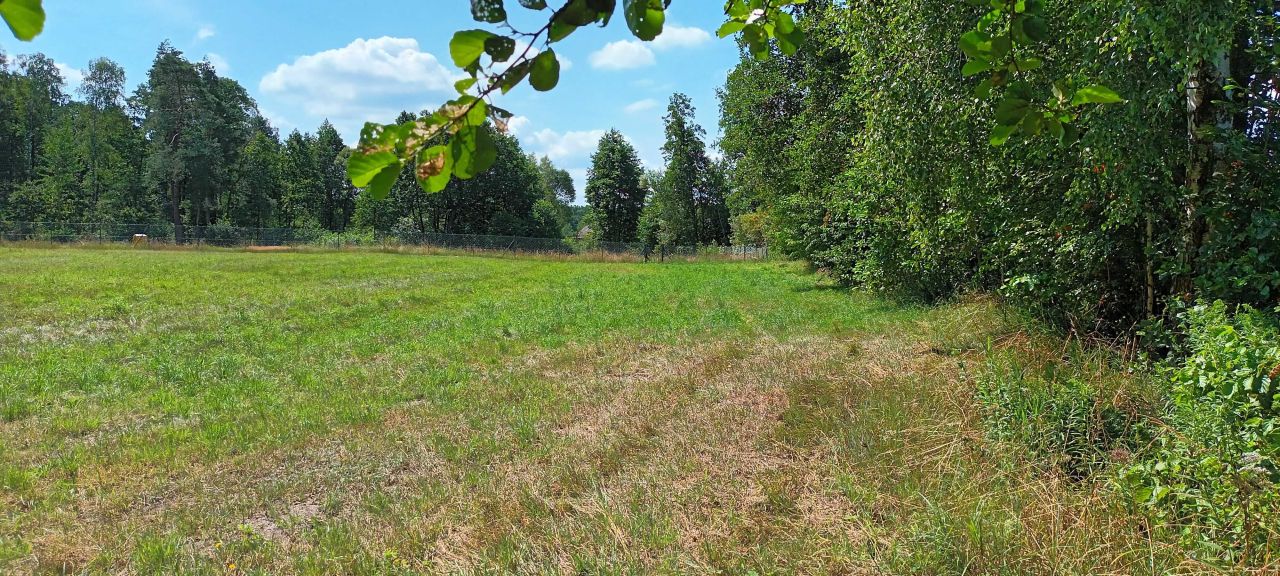 Działka rekreacyjna Łąkie. Zdjęcie 8